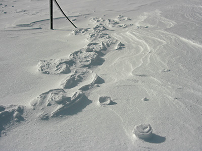 A line of raised footprint and walking pole marks